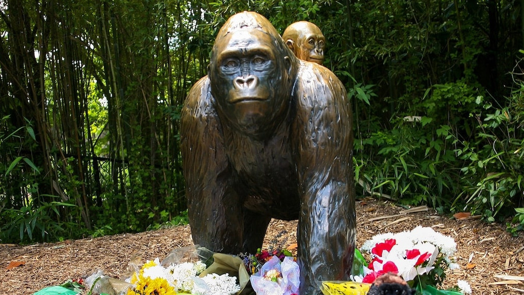 Harambe Memorial 😔
