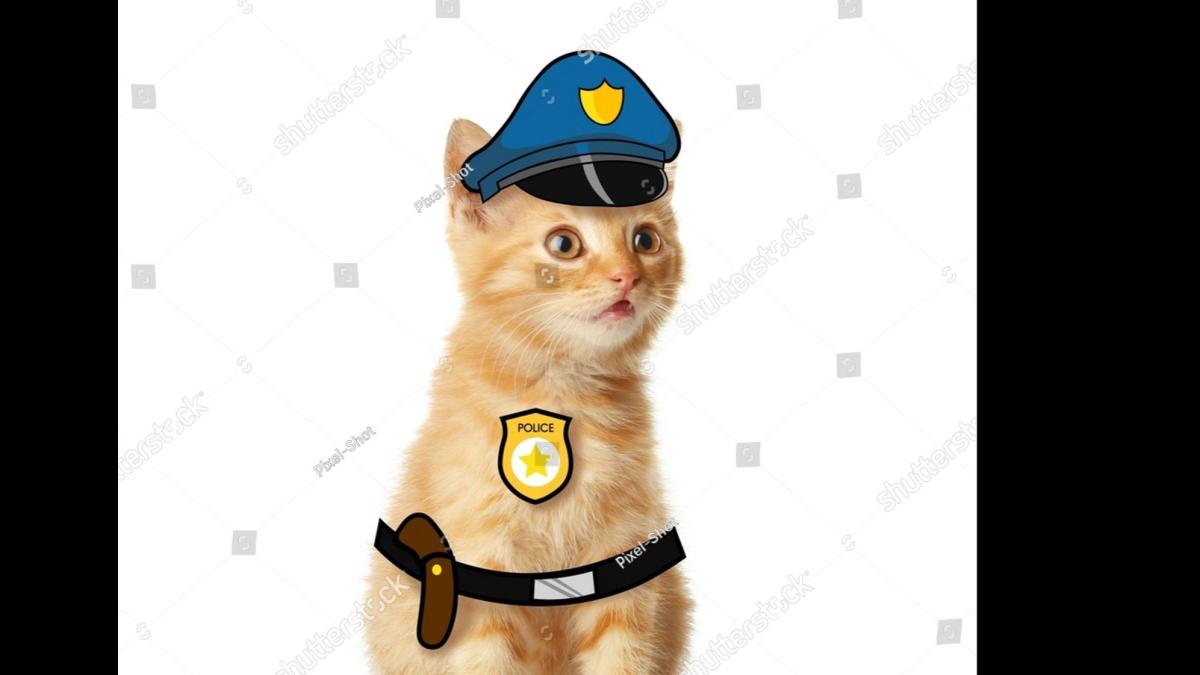ACAB (All Cats are Beautiful)