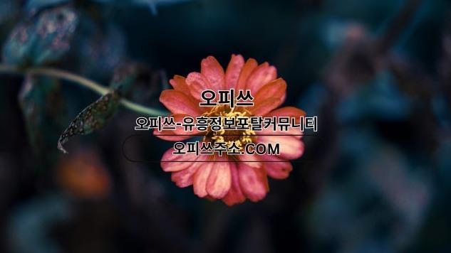 서초오피 오피쓰.COM 서초OP