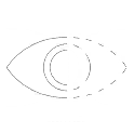 Espionage