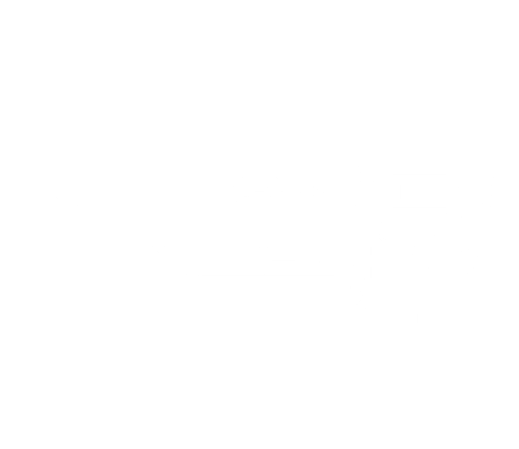 Paired Transonic Blades - Darktide WH40k