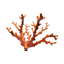 Coral icon