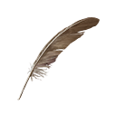 Feather icon