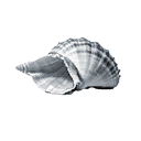 Nacre Splinter icon