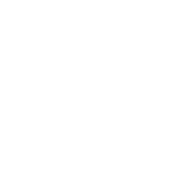 Shadow Shot
