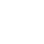 Autonomous Interception System