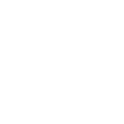 Protocol Zero