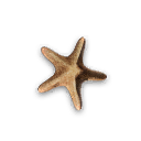 Aurora Starfish