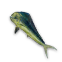 Mahi Mahi