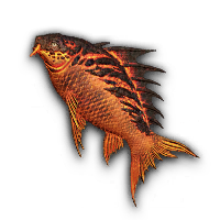 Flame Fish