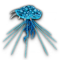 Mushroom Jellyfish