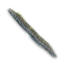 Taion Moray Eel