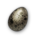 Terror Bird Egg