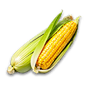 Corn