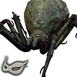 Weald Spider