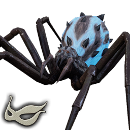 Lantern Spider