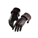 Premonition Gloves