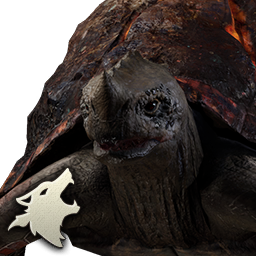 Stone Dracoryft Turtle