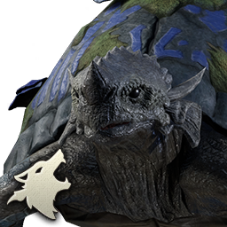 Opal Dracoryft Turtle