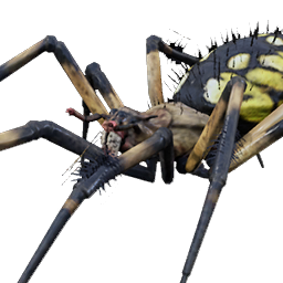 Toximaw Worker Spider