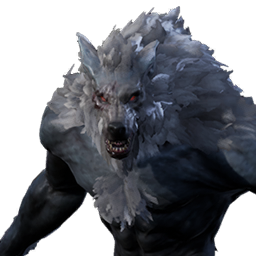 Lycan Fighter