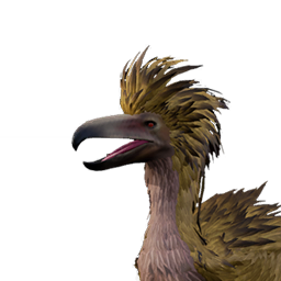 Feathered Terror Bird