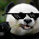 elusivepanda