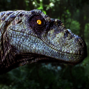 lazyraptor6