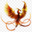 riny71