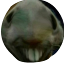 akamy