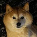 coleavenue
