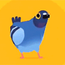 pigeon4332