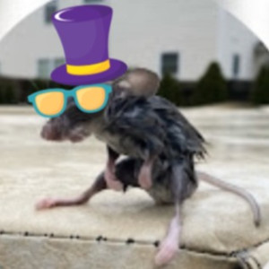 SickMutt